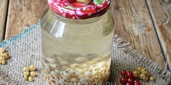 Компот из белой смородины на зиму