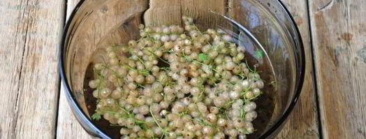 компот из белой смородины на зиму. Шаг 6