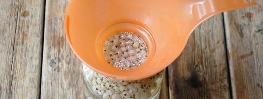 компот из белой смородины на зиму. Шаг 12