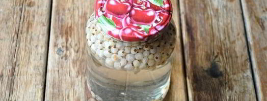 компот из белой смородины на зиму. Шаг 13