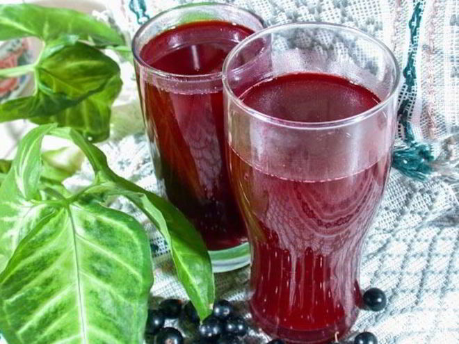 Рецепт компота из черемухи