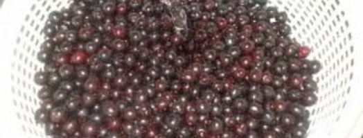 компот из черемухи. Шаг 2