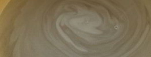 компот из черемухи. Шаг 3