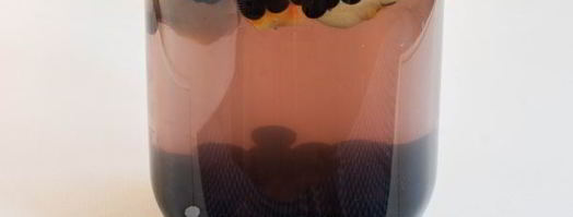 компот из черноплодки с яблоками на зиму. Шаг 7