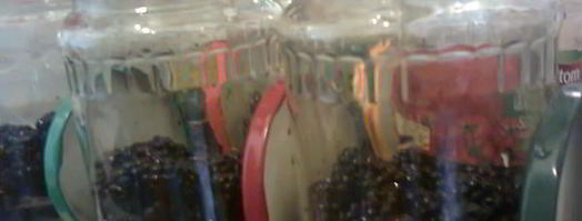 компот из ежевики. Шаг 2