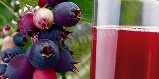 Компот из ирги