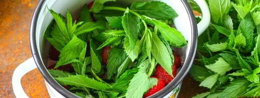 компот из клубники с мятой на зиму. Шаг 7