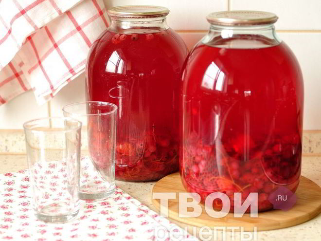 Рецепт компота из красной смородины с апельсином