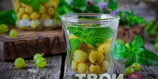 Компот из крыжовника и мяты