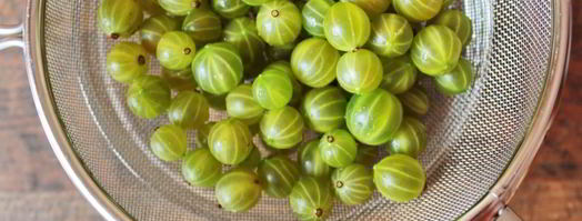 компот из крыжовника и мяты. Шаг 2