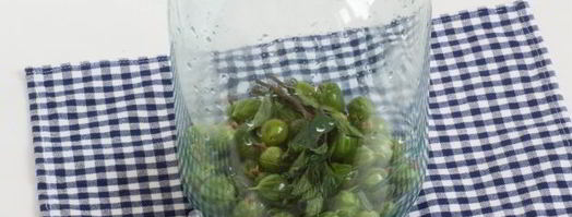 компот из крыжовника с мятой. Шаг 6