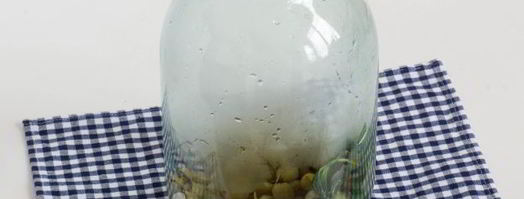 компот из крыжовника с мятой. Шаг 9