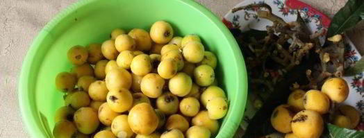 компот из мушмулы на зиму. Шаг 4