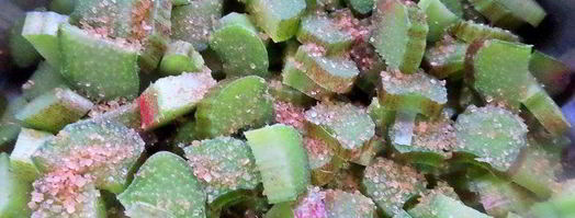 компот из ревеня и лесной малины. Шаг 3