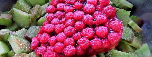 компот из ревеня и лесной малины. Шаг 4