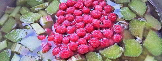 компот из ревеня и лесной малины. Шаг 5