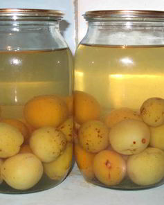 Компот из слив с косточками на зиму