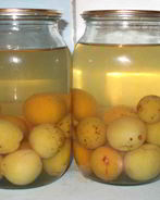 Компот из слив с косточками на зиму