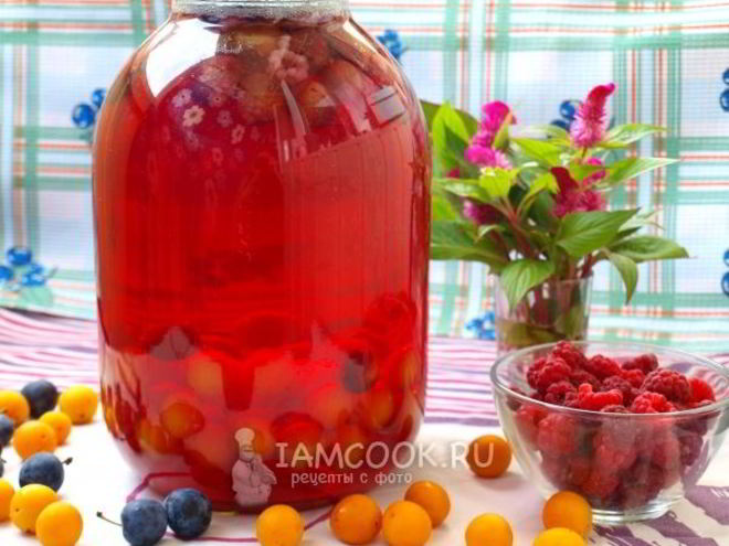Рецепт компота из терна, алычи и малины на зиму