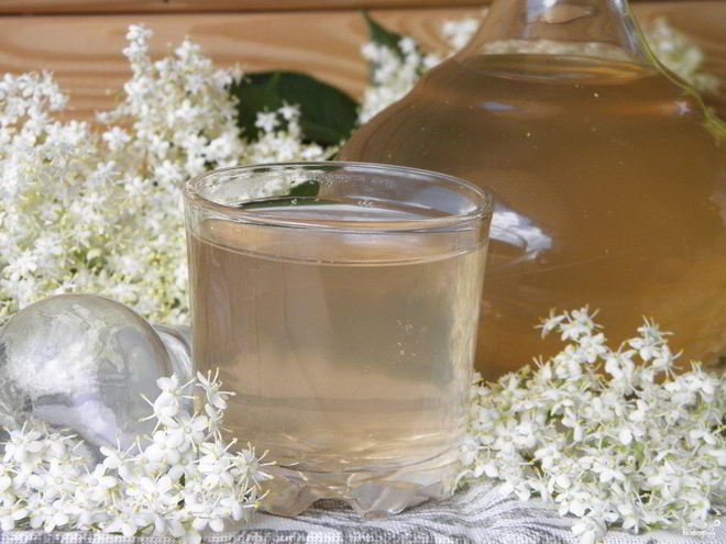 Рецепт компота из цветков бузины