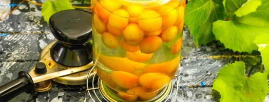 компот из винограда с косточками на зиму. Шаг 20