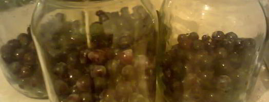 компот из винограда. Шаг 2