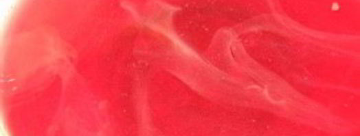 компот из вишни с косточками на зиму. Шаг 4