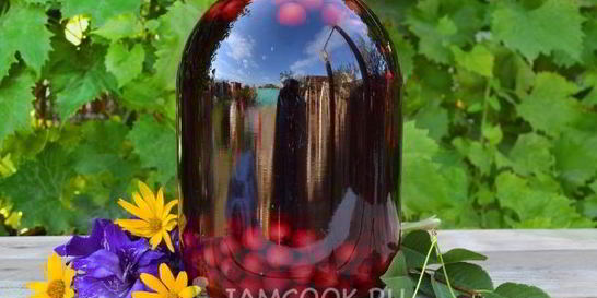 Компот из вишни