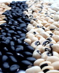 Консервированная фасоль