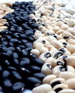 Консервированная фасоль