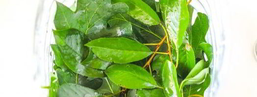 квашеные огурцы с горчицей. Шаг 5