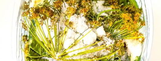 квашеные огурцы с горчицей. Шаг 8