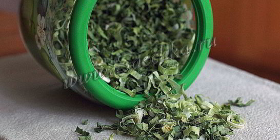 Лук-порей на зиму