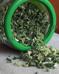 Лук-порей на зиму