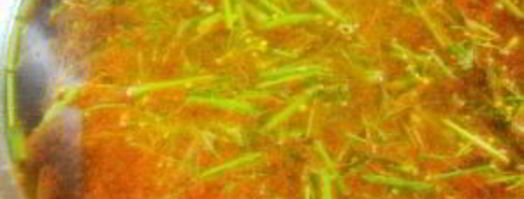 быстрая маринованная капуста с огурцами. Шаг 3