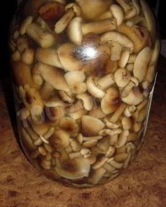 Быстрые маринованные грибы