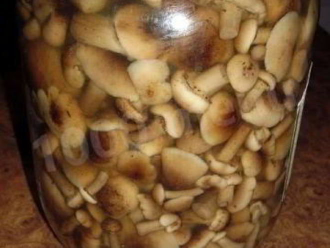 Рецепт быстрых маринованных грибов