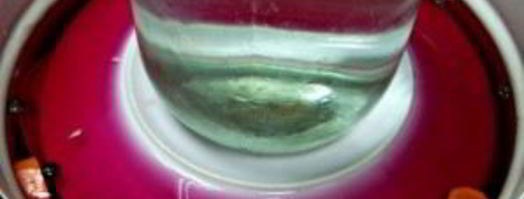 капуста маринованная с чесноком и свеклой. Шаг 8