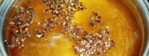 капуста маринованная с чесноком на зиму. Шаг 2