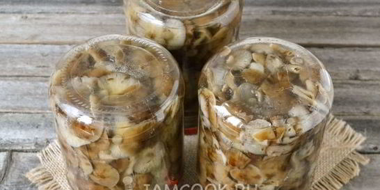 Маринование опят на зиму