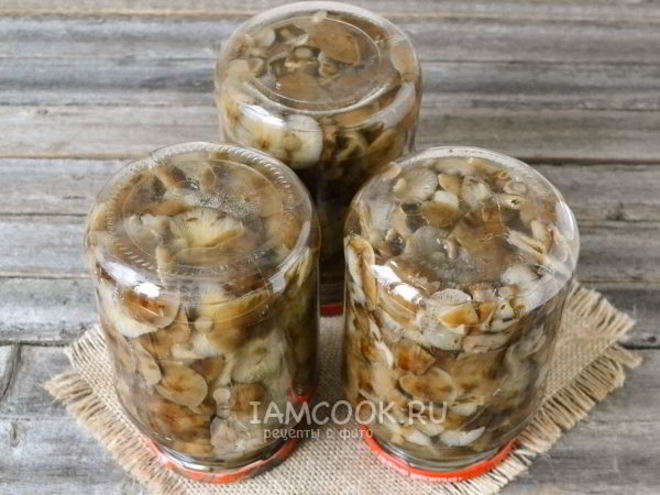 Рецепт маринования опят на зиму