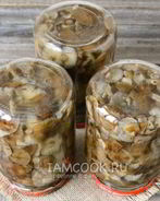 Маринование опят на зиму