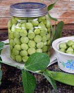 Маринованный горох на зиму домашний