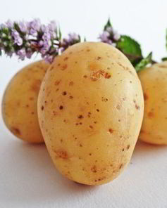 Маринованный картофель на зиму