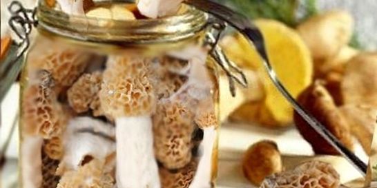 Маринованный сморчок