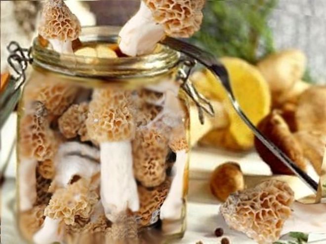 Рецепт маринованного сморчка