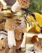 Маринованный сморчок