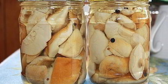 Маринованные белые грибы без уксуса