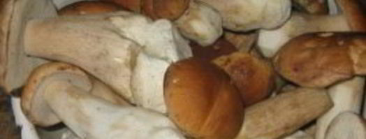 маринованные белые грибы без уксуса. Шаг 2