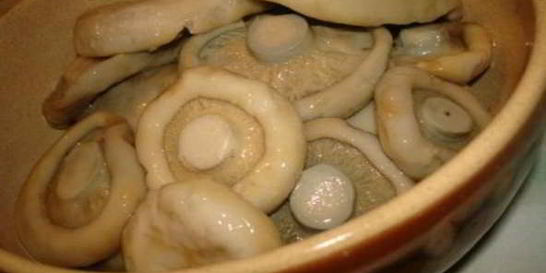 Маринованные грузди с чесноком